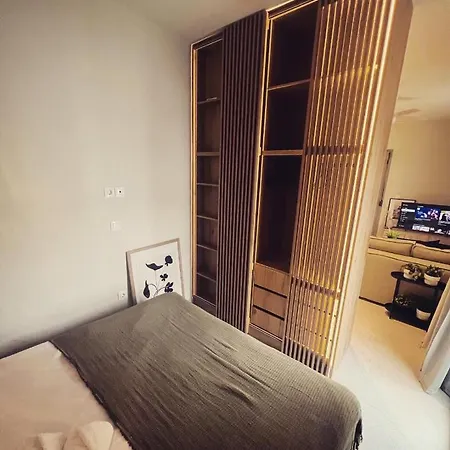 Luxurious Wooden Detail Flat In Center