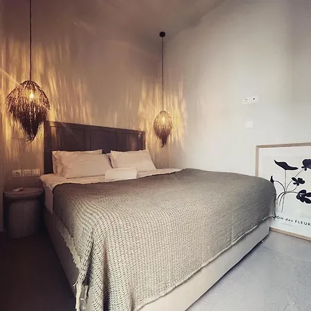 Luxurious Wooden Detail Flat In Center Χαλκίδα