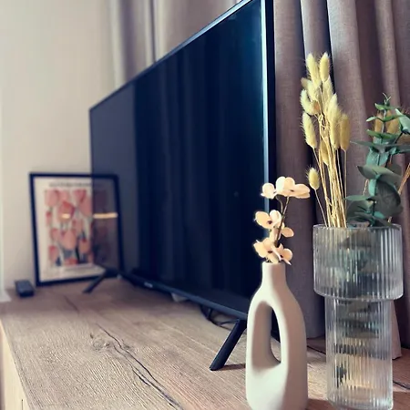 Luxurious Wooden Detail Flat In Center